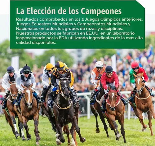 Vista 6 de Ramard Reposición muscular de líquidos sanguíneos para caballos de carrera, suplementos para caballos con electrolitos, constructor de sangre
