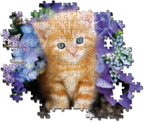 Vista 3 de Clementoni Ginger Cat - Rompecabezas de 500 piezas para adultos (caja cuadrada)