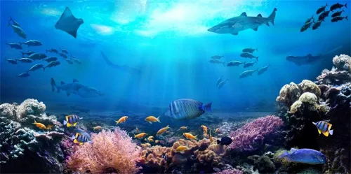 Vista 8 de AOFOTO Telón de fondo submarino de 5 x 3 pies para fotografía, acuario, fondos marinos, rocas, luces, coral y peces, escena tropical del océano bajo