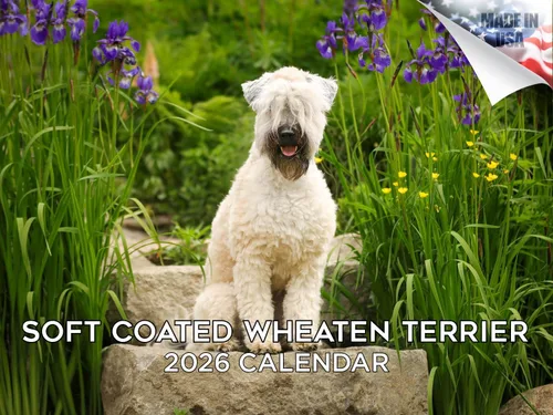Vista 51 de Calendario de Lebrel Afgano 2025 2026, calendario mensual de pared de raza canina, 12" x 18" abierto, papel grueso sin traspaso, ideal para regalo