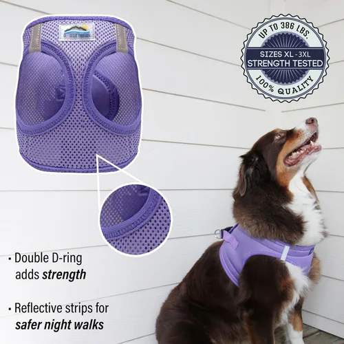 Vista 3 de Doggie Design Arnés para perro – Arnés sin estrangulamiento para mascotas, chaleco para perro, malla de poliéster, diseño simple, chaleco