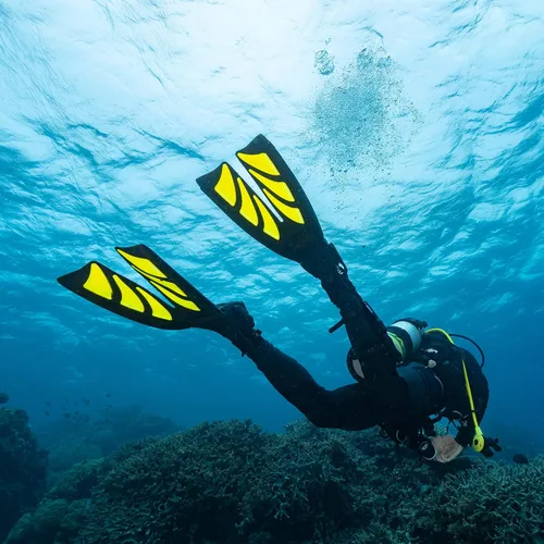 Vista 6 de TUSA SF-0111 Hyflex Zoom Aletas de Buceo ROSA ROSA