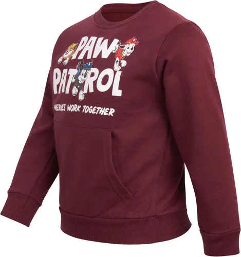 Vista 3 de Nickelodeon Sudadera con capucha de Paw Patrol para niño - Chase, Marshall, Rubble, Skye (2T-7)