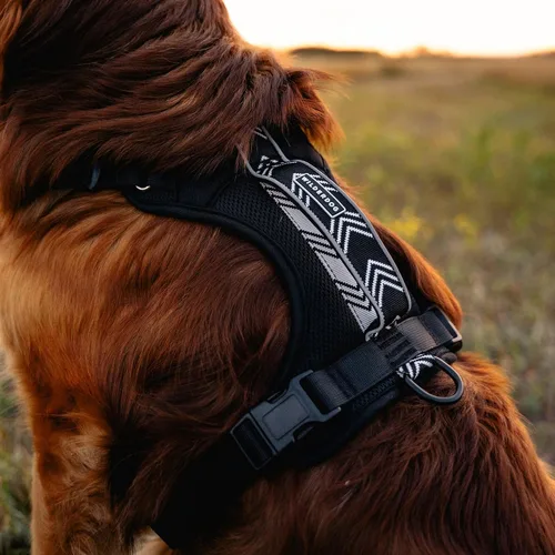 Vista 2 de Wilderdog Arnés ligero para perro con correas reflectantes - Pequeño - Negro