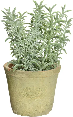 Vista 5 de Esschert Design Planta de Hierba Artificial, Cebollino, Pequeña