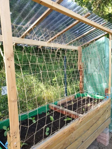 Vista 7 de Malla de yute para jardín, red de soporte resistente para plantas trepadoras, pepino, vid, frutas y verduras, plantas trepadoras