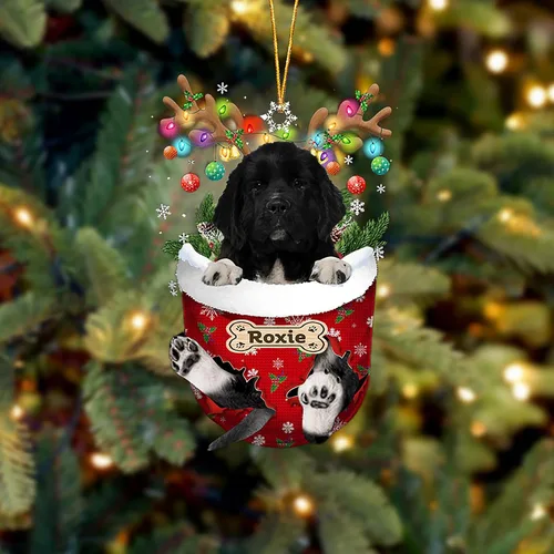 Vista 151 de LOVELYPOD Adorno Personalizado de Perro Affenpinscher, Adornos de Navidad Affenpinscher Regalo para Amante de Perros, Adorno de Navidad Colgante