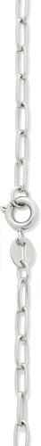 Vista 4 de Tienda Essentials Collar de cadena de clip chapado en oro de 14 quilates