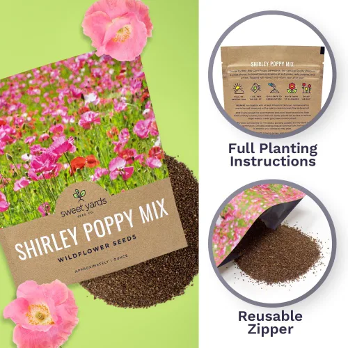 Vista 5 de Shirley - Semillas de amapola - Colores mezclados - Paquete extra grande - Más de 200,000 semillas de flores silvestres polinizadas abiertas sin OMG