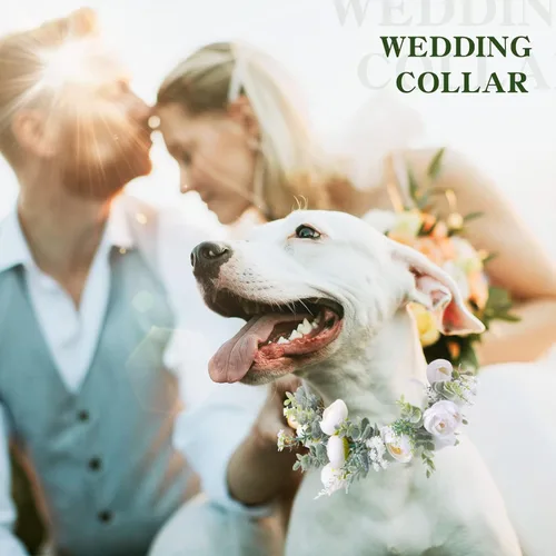 Vista 2 de Honoson Collar de flores de boda ajustable para perro, corona floral de rosas blancas artificiales con cinta, accesorios de accesorios para mujeres