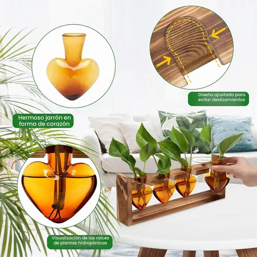 Vista 2 de Estaciones de propagación de plantas, kit de terrario de plantas de corazón, regalo para mujeres, amantes de las plantas, jarrones de vidrio Ámbar