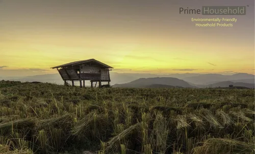 Vista 7 de Limpiador de lavavajillas ecológico, 15 tabletas