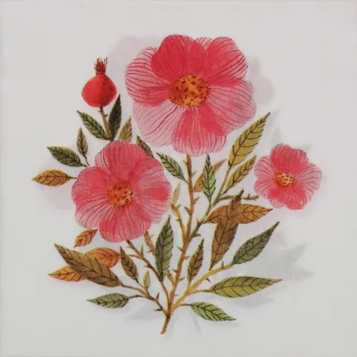 Vista 28 de Zelten Servilletas de papel de colores (rosa telar)