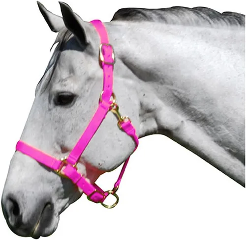 Vista 3 de Intrepid International Nylon Halter Rojo