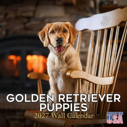 Vista 40 de Calendario de Lebrel Afgano 2025 2026, calendario mensual de pared de raza canina, 12" x 18" abierto, papel grueso sin traspaso, ideal para regalo