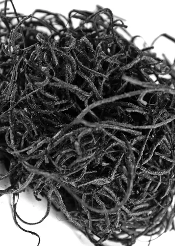 Vista 4 de SuperMoss Musgo Español Conservado, Negro