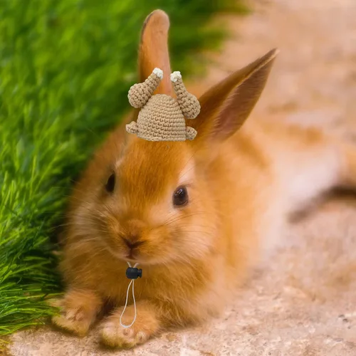 Vista 5 de Sombrero de pavo de conejillo de indias – Mini correa ajustable, bonito sombrero de conejo hecho a mano, accesorios de ropa de animales pequeños