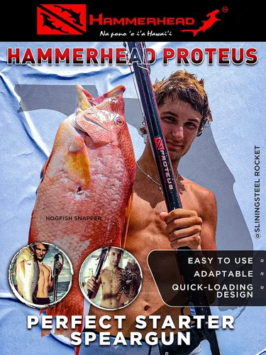 Vista 2 de Hammerhead Spearguns Proteus