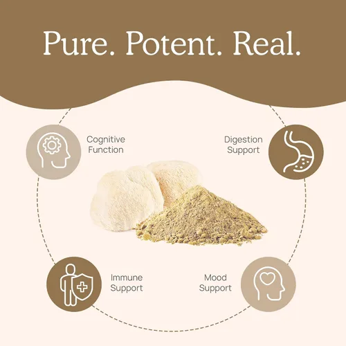 Vista 7 de Real Mushrooms Paquete de apoyo inmunológico, cognición y aumento del rendimiento, extracto orgánico de cola de pavo en polvo (1.59 oz) Melena