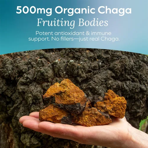 Vista 2 de Gomitas de hongos Chaga Detox - Suplemento de apoyo inmunológico antioxidante y hongos - 250 mg de cuerpos fructíferos - Suplementos de claridad