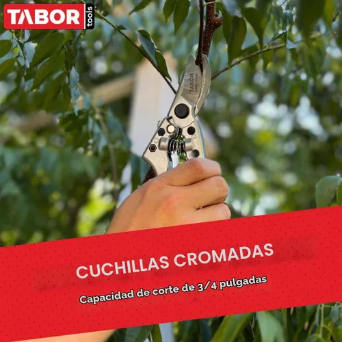 Vista 2 de TABOR TOOLS S834A Tijeras de podar de derivación para manos medianas a grandes, cuchillas de acero inoxidable con capacidad de corte de 3/4