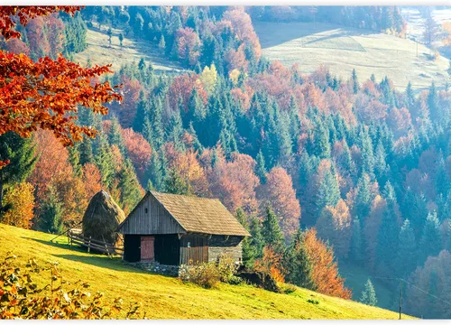 Vista 2 de SIGNWIN Adhesivo mural removible para pared, otoño, campo, cabaña, bosque, naturaleza, desierto, fotografía, realismo, paisaje decorativo, colorido
