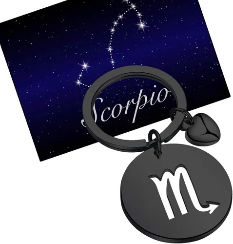 Vista 6 de FAADBUK Llavero de signo del zodiaco CZ Horóscopo regalo 12 Constelación llavero para mujeres hombres