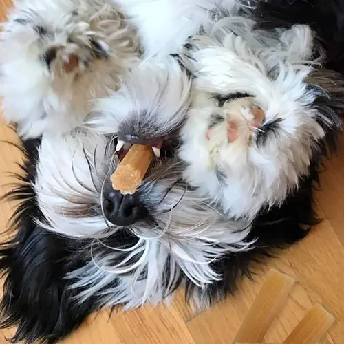 Vista 3 de Paquete de 3 masticables suaves de pollo Yaky Churros, 4 onzas cada uno, para perros, sin lactosa ni granos