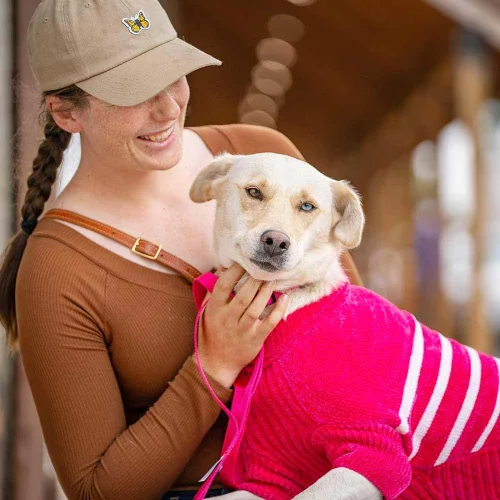 Vista 3 de Blueberry Pet - Suéter de chenilla suave y acogedor con rayas elegantes para perro en rosa intenso, longitud de espalda de 56 cm, paquete de 1 ropa