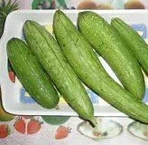 Vista 2 de Esponja de calabaza Luffa Great Heirloom Vegetable de Seed Kingdom BULK 1 libra de semillas