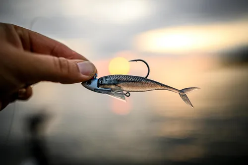 Vista 6 de Berkley PowerBait The Champ Minnow - Cebo suave de pesca, calabaza verde, 3.4 pulgadas