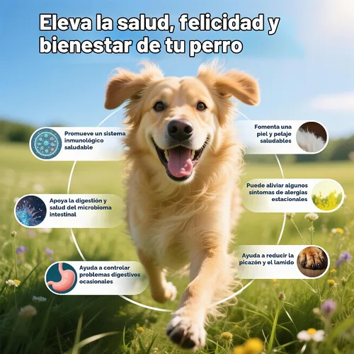 Vista 7 de Probióticos para perros para la salud intestinal, salud digestiva, estómago sensible, diarrea, inmunidad, piel/pelaje - probióticos prebióticos