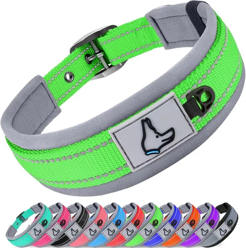 Vista 9 de Joytale Collar para perros pequeños, de neopreno acolchado y ajustable, collares para mascotas reflectantes, anchos y resistentes, con hebilla