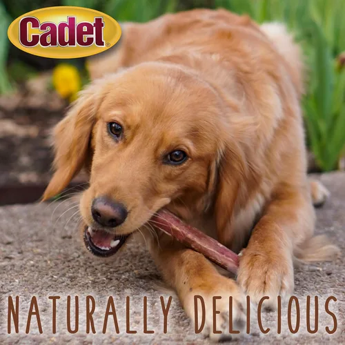 Vista 3 de Cadet Bully Sticks para perros grandes, pizza de carne de res totalmente natural, masticables de larga duración sin cuero crudo para masticadores