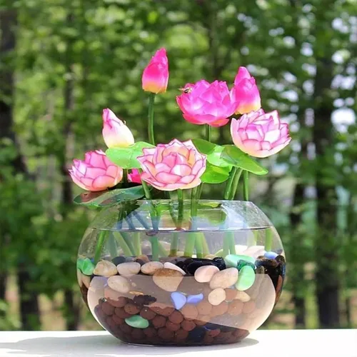 Vista 5 de Más de 35 semillas de loto de tazón mixto, semillas de plantas de lirio acuático, semillas de plantas de jardín sin OMG, semillas de jardín frescas
