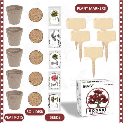 Vista 2 de Kit de árbol bonsái – Cultiva 5 especies de árbol bonsái con nuestro kit de plantas todo en uno: macetas de bonsái y pellets de turba, incluyendo un