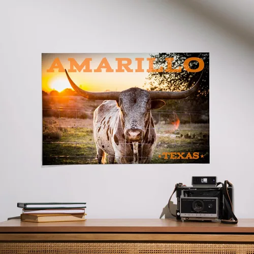 Vista 2 de Amarillo, Texas – Longhorn y puesta de sol (16 x 24 Collectible Galería Impresión giclée, pared Decoración Cartel de viaje)