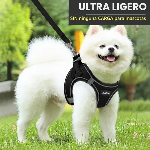 Vista 7 de GAMUDA Juego de collar y correa para perro pequeño, sin estrangulamiento, sin tirones, tela de lino de malla suave para perro, arnés reflectante