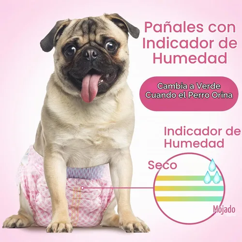 Vista 4 de Pañales desechables para perras, pañales absorbentes para perros, XXS, 40 unidades Pañales de cintura elástica ajustable para el calor, pañales a