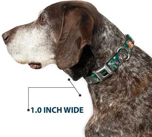 Vista 6 de Buckle-Down Collar de perro con hebilla de cinturón de seguridad The Jungle Book 8 Character Group Greens 9 a 15 pulgadas 1.0 pulgadas de ancho, 1