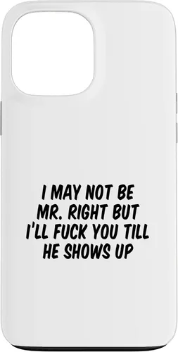 Vista 24 de I May Not Be Mr. Right But I’ll Fuck You Till He Shows Up Case for iPhone 17