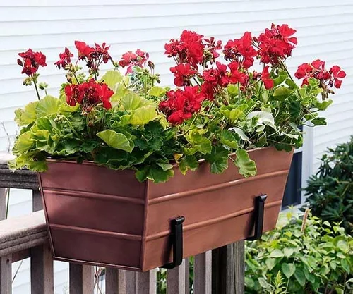 Vista 5 de Achla - Soportes de caja de flores para rieles de terraza, soportes de hierro forjado para macetas de 8 pulgadas, soportes de caja de flores