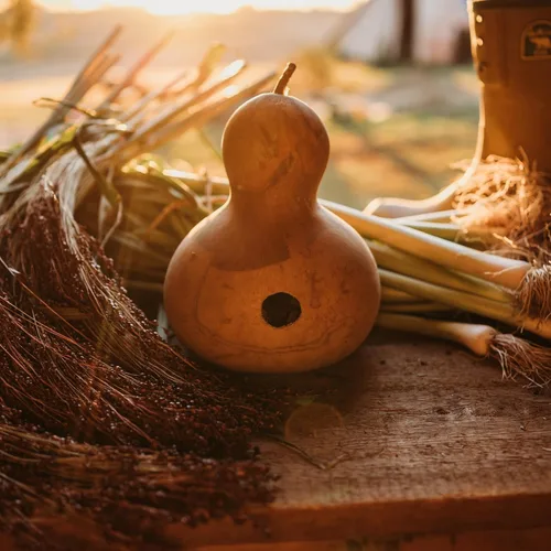 Vista 2 de Birdhouse Gourd - 25 semillas de calabaza para plantar, Thresh Seed Co.