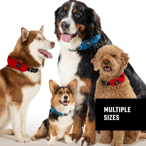 Vista 8 de Nite Ize Raddog - Combo de collar y correa todo en uno, collar de perro resistente con correa retráctil incorporada, collar de 14 a 16 pulgadas, Rojo
