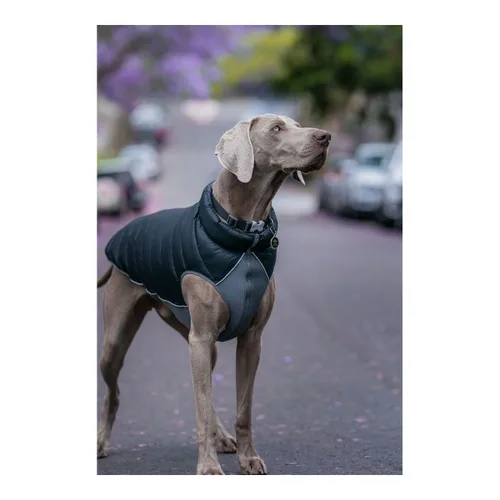 Vista 4 de Abrigo para Perro Red Dingo Puffer Negro/Gris 25 cm