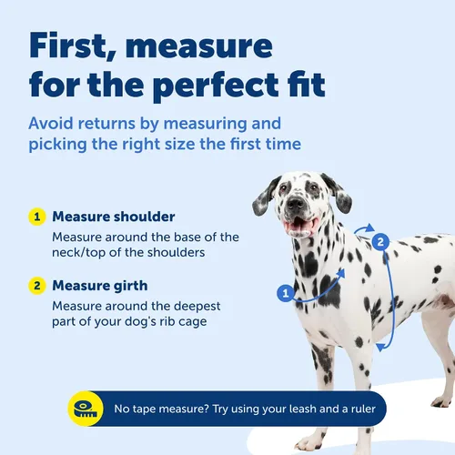 Vista 6 de PetSafe Arnés 3 en 1 con correa de control de dos puntos, arnés sin tirones, pequeño, negro, ajustable