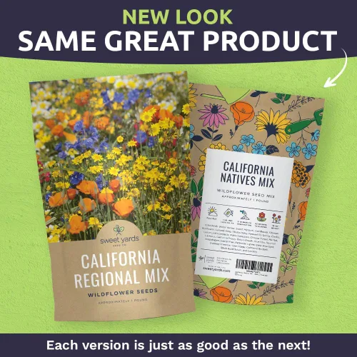 Vista 2 de Mezcla de nativos de California - Bolsa de 1 libra a granel - Más de 120.000 semillas nativas - Polinización abierta y sin OMG