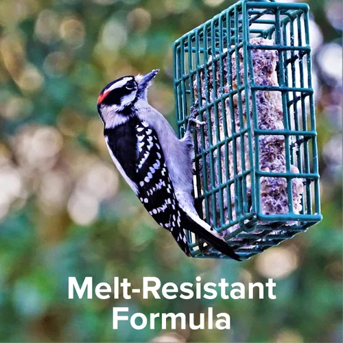 Vista 3 de Blue Seal Woodpecker - Pastel de sebo para aves silvestres, resistente a la fusión, alimentación durante todo el año, alimento para aves silvestres
