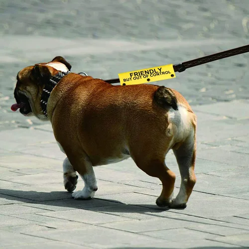 Vista 6 de Divertida correa para perro apta para perros, pero fuera de control, para regalo de cumpleaños para mascotas (fuera de control YE)