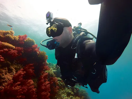 Vista 8 de GoPro Filtro de buceo para carcasa de buceo (Magenta) (accesorio oficial de GoPro )